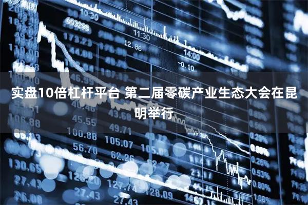 实盘10倍杠杆平台 第二届零碳产业生态大会在昆明举行